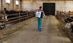 Sivas Valiliği yayınladığı videoyla vatandaşları keneye karşı uyardı