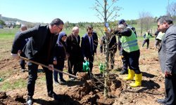 Sivas'ta şehitler anısına fidan dikildi