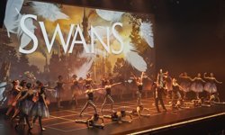 'SWANS-Kuğu Gölü' Paribu Art'ta prömiyer yaptı