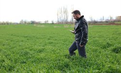 Tarlalarda hastalık ve zararlıları yapay zekayla tespit edebilen yazılım geliştirildi