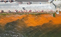 Tekirdağ'da planktonların çoğalması sonucu denizin rengi yer yer değişti