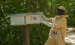 TİKA, Tanzanya'da arıcılık sektörünü geliştirmeye yönelik projeyi hayata geçirdi