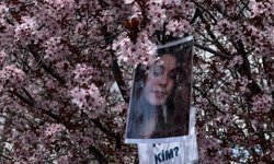 Tunceli'de ağaçlara Gülistan Doku'nun fotoğrafları asıldı