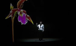 Türkiye turnesindeki 'Firavunla Yüz Yüze' tiyatro oyunu Ankara'da sahnelendi