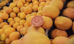 Turunçgil ihracatı yılın ilk çeyreğinde 697,7 milyon dolara ulaştı