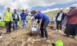Ürdün'de Türk şehitleri anısına TİKA tarafından yüzlerce zeytin fidanı dikildi