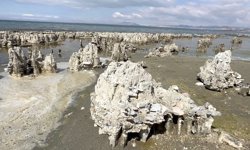 Van Gölü'ndeki mikrobiyalitler için 'Guinness Rekorlar Kitabı' süreci başlatıldı