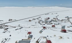 Van ve Bitlis'in kırsal bölgelerinde zorlu kış şartlarıyla mücadele sürüyor
