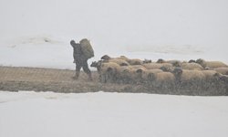 Van'da ilkbaharda kar etkili oldu