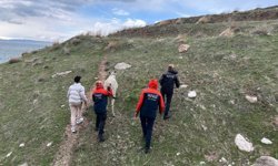 Van'da kayalıklarda mahsur kalan eşek kurtarıldı