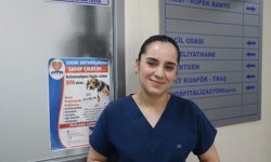 Veteriner teknikerinin bulduğu kafatası delik kedi titanyum ağ uygulamasıyla yaşama tutundu