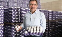 Yumurta üreticisi 'mayıs çukuru'nda ihracat kotasının artmasıyla nefes aldı