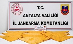 Alanya'da uyuşturucu operasyonunda 2 şüpheli yakalandı