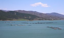 Almus Baraj Gölü'nde doluluk yüzde 82'ye ulaştı