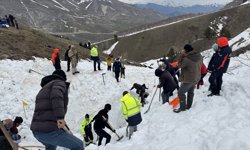 Artvin'de çığ altında kalan çobanı arama çalışmaları sürüyor