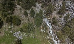 Isparta'da bahar yağmurları doğada dikkat çekici şekiller oluşturdu