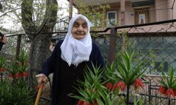 Memleket özlemini göç yolunda annesinin sandığında getirdiği ters lale soğanının açan çiçekleriyle dindiriyor