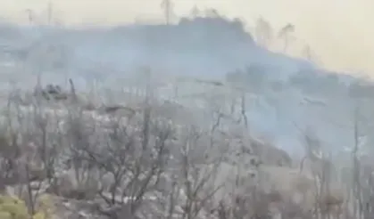 Bursa Büyükşehir yangınlarda son durumu bildirdi