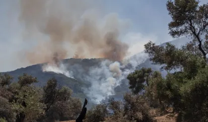 Kocaeli Aydınlar Ocağı’ndan yangınlarla mücadeleye 9 maddelik öneri