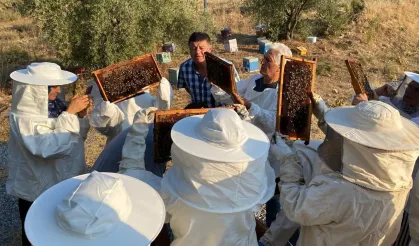 Manisa'da arıcılara uygulamalı eğitim desteği