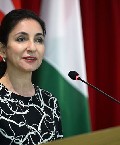 Türkiye, Avrupa rekabet stratejisinin parçası olarak görülmeli