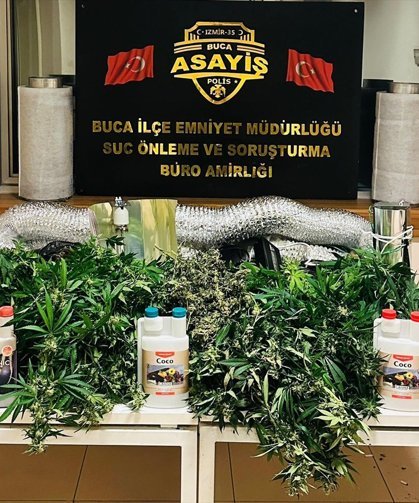 GÜNCELLEME-İzmir'de evde uyuşturucu yetiştiren 2 zanlı tutuklandı
