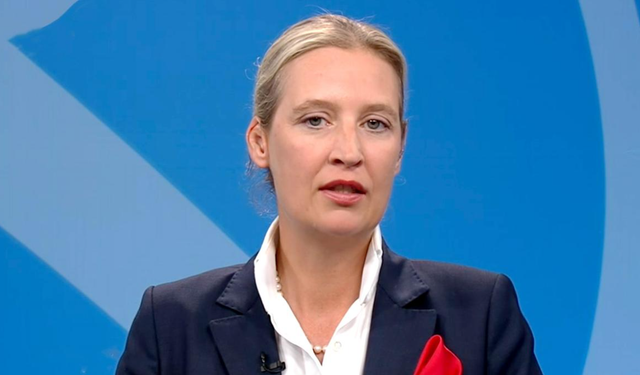 Weidel: Tarifelerde İndirim İçin ABD’yle Temastayım