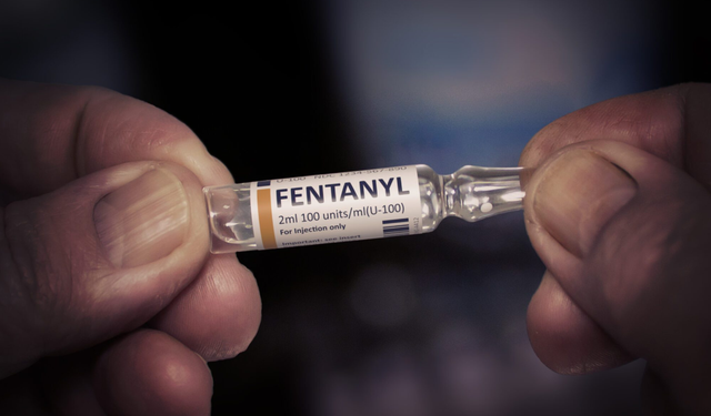 Almanya’da Sessiz Tehdit: Fentanil Krizine Karşı Alarm