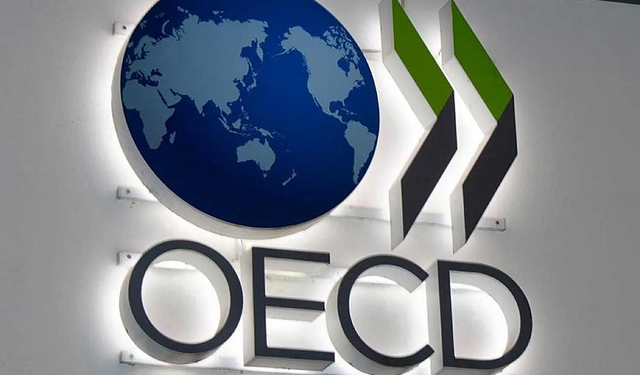 OECD’den Almanya’ya Soğuk Duş Avro Bölgesi İçin Umutlu Tablo