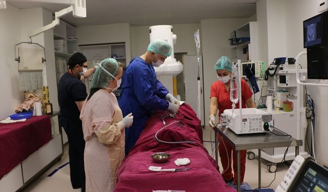 Eskişehir'de yabancı hekimlere girişimsel radyolojide kapalı yöntemle tedavi öğretildi