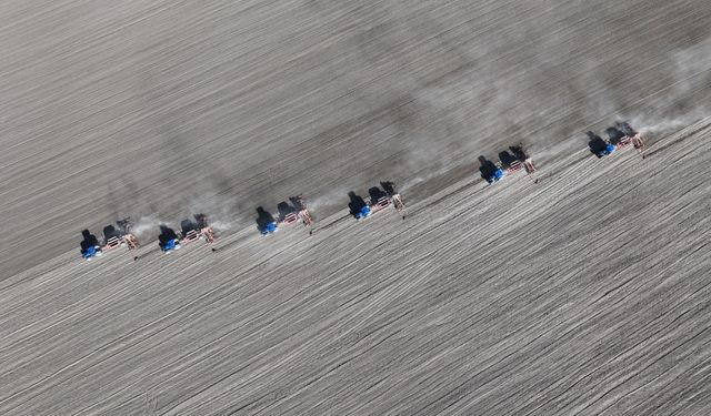 Malya Tarım İşletmesi'nde kuraklığa dayanıklı tohumlarla üretim yapılıyor