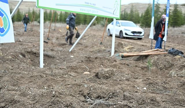 TUSAŞ şehidi Ekici anısına 500 fidan toprakla buluşturuldu