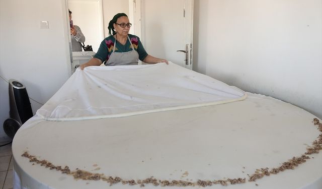 Balıkesir'de kurulan kooperatif yaklaşık 100 kadına gelir kapısı oldu