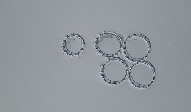 Erzincan'daki Göyne Barajı soğuk havanın etkisiyle dondu