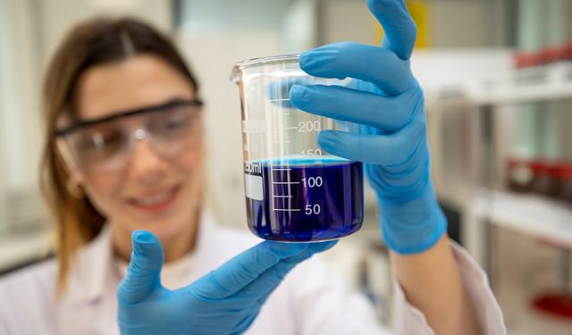 Fındık kabuğu aktif karbona dönüşerek birçok sektöre ham madde olacak