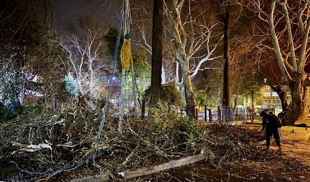 İzmir'de devrilen ağaç park halindeki otomobile ve işletmeye zarar verdi