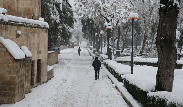 Şanlıurfa'daki tarihi Balıklıgöl karla beyaza büründü