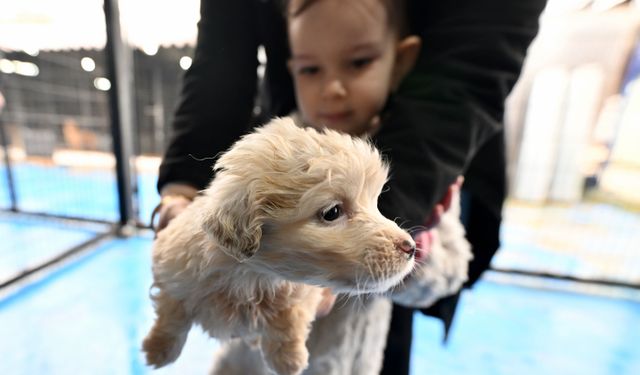 Çocuklar 'can dostlar' sayesinde dijital bağımlılıktan uzaklaşıyor