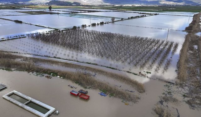 Gediz Nehri'nin taşması sonucu İzmir'de tarım arazileri sular altında kaldı