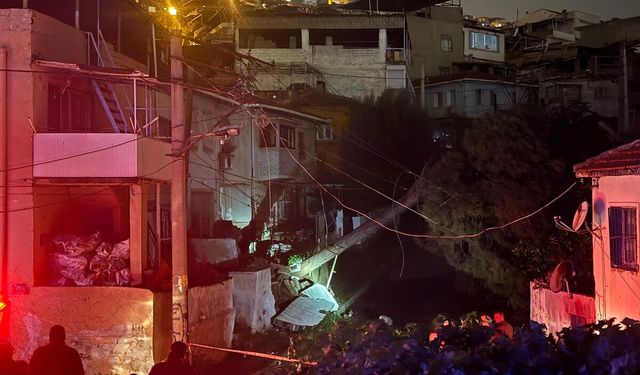 İzmir'de elektrik tellerinin üzerine devrilen ağacın neden olduğu yangın söndürüldü