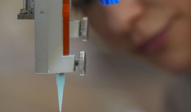 İzmir'de geliştirilen 'yara örtüsü' kronik yaralar için umut olacak