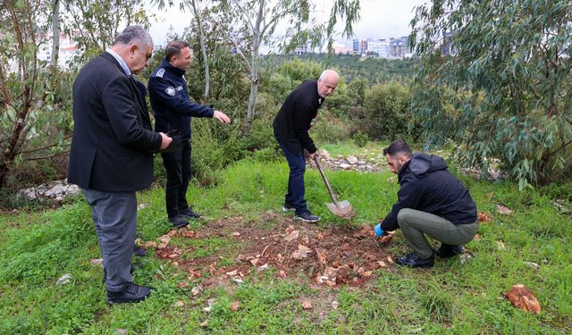 İzmir'de zehirlendiği iddia edilen hayvanlarla ilgili inceleme başlatıldı