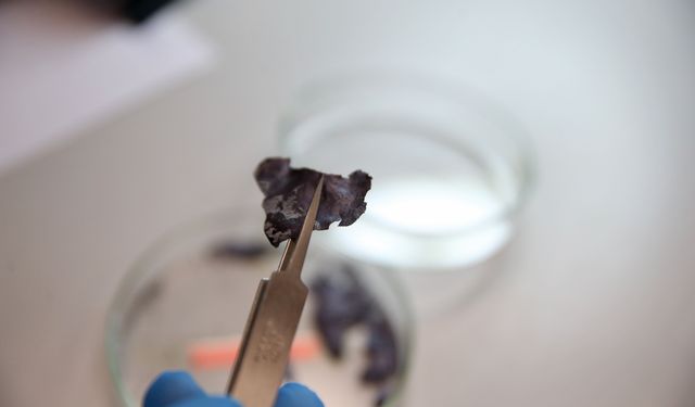 Atık ısıyı elektrik enerjisine çeviren, endüstriyel üretime uygun nano seramik folyo geliştirildi