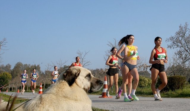 Balkan Yürüyüş Şampiyonası, İzmir'de gerçekleştirildi