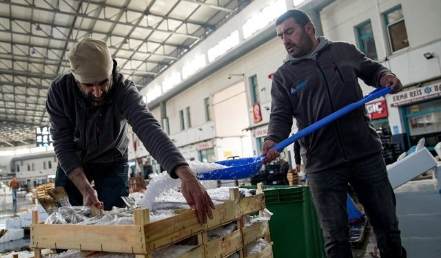 Egeli balıkçılar av sezonunu 'mutlu' uğurluyor