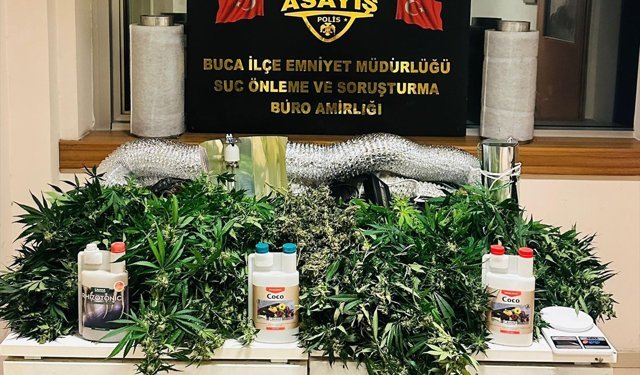 GÜNCELLEME-İzmir'de evde uyuşturucu yetiştiren 2 zanlı tutuklandı