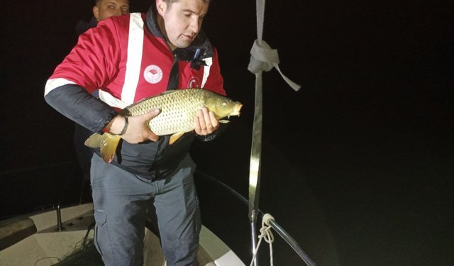 Misina ağıyla kaçak olarak yakalanan 60 kilo sazan göle salındı