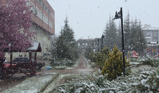 Samsun ve Amasya'da nisan ayında kar yağdı