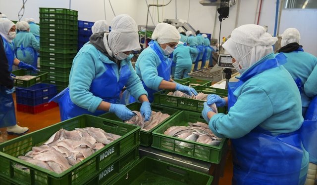 Su ürünleri ihracatı yılın ilk çeyreğinde yaklaşık 553 milyon dolar oldu