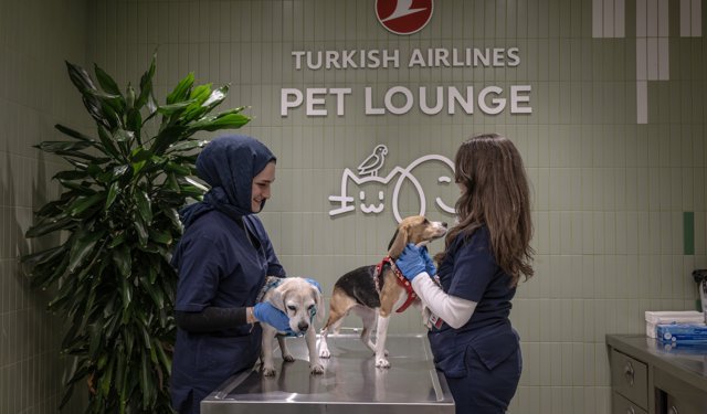THY'den kargoda taşınabilen evcil hayvanlara İstanbul Havalimanı'nda özel salon hizmeti